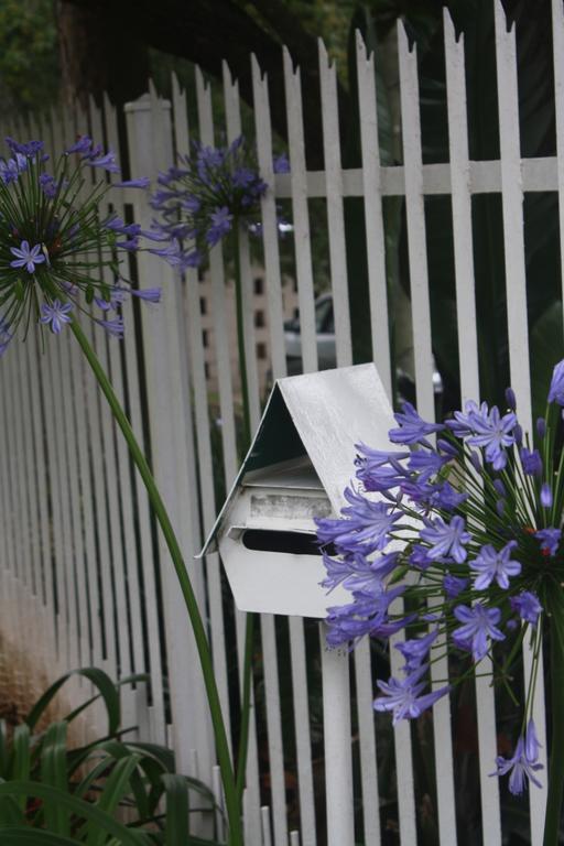 Meander In Bed & Breakfast Howick Luaran gambar